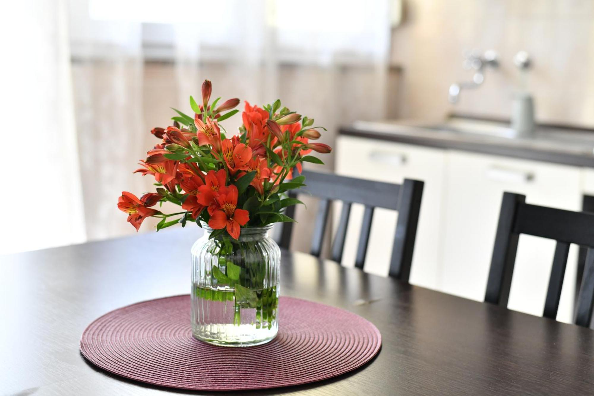 Cozy 16A Apartment Zadar Luaran gambar